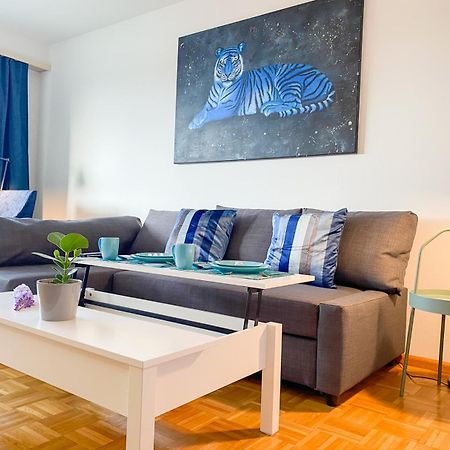Special Blue Tiger Apartment Basel, Messe Kleinbasel 10-Star Εξωτερικό φωτογραφία