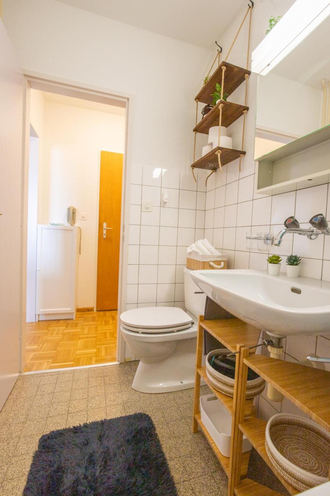 Special Blue Tiger Apartment Basel, Messe Kleinbasel 10-Star Εξωτερικό φωτογραφία