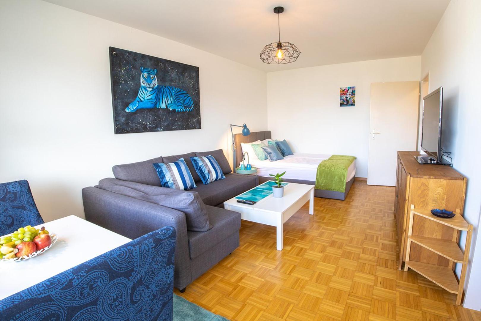 Special Blue Tiger Apartment Basel, Messe Kleinbasel 10-Star Εξωτερικό φωτογραφία
